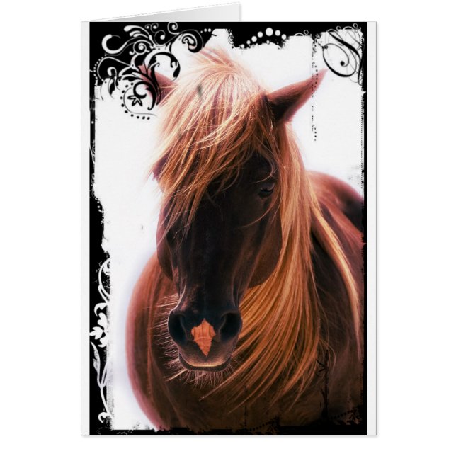 Schönes Pferd (Vorne)