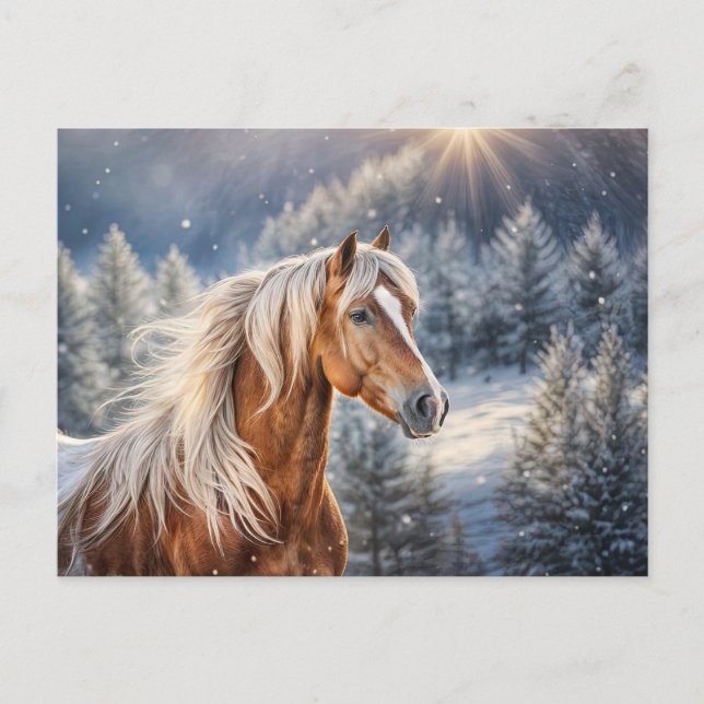 Schönes Pferd im Schnee Weihnachten Postkarte (Vorderseite)
