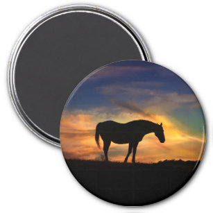 Schönes Pferd im Sonnenuntergang Kunst, Dichtung u Magnet
