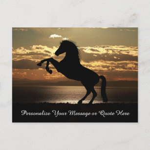Schönes Pferd im Sonnenuntergang personalisieren Postkarte