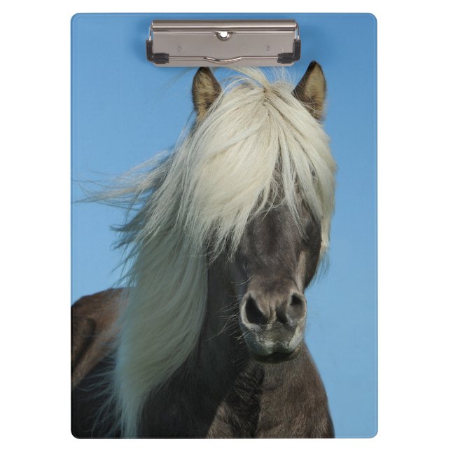 Schönes Pferd Klemmbrett (Vorderseite)