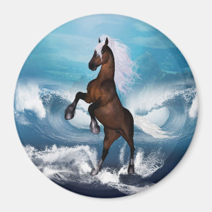 Schönes Pferd mit Magnet