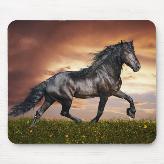 Schönes Pferd Mousepad (Vorne)