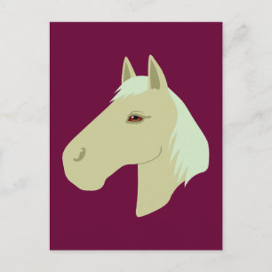 Schönes Pferd Postkarte