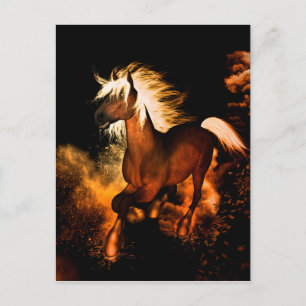 Schönes Pferd Postkarte