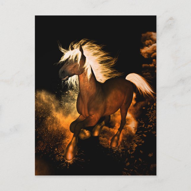 Schönes Pferd Postkarte (Vorderseite)