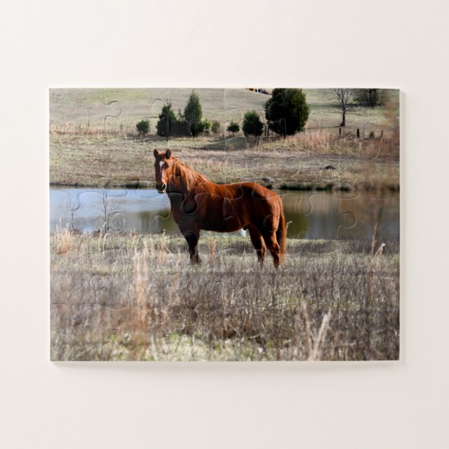 schönes Pferd Puzzle (Horizontal)
