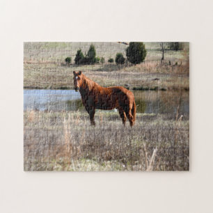 schönes Pferd  Puzzle