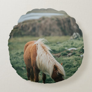 SCHÖNES PFERD RUNDES KISSEN