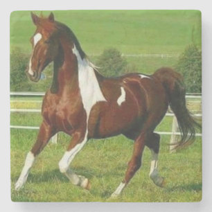 Schönes Pferd Steinuntersetzer