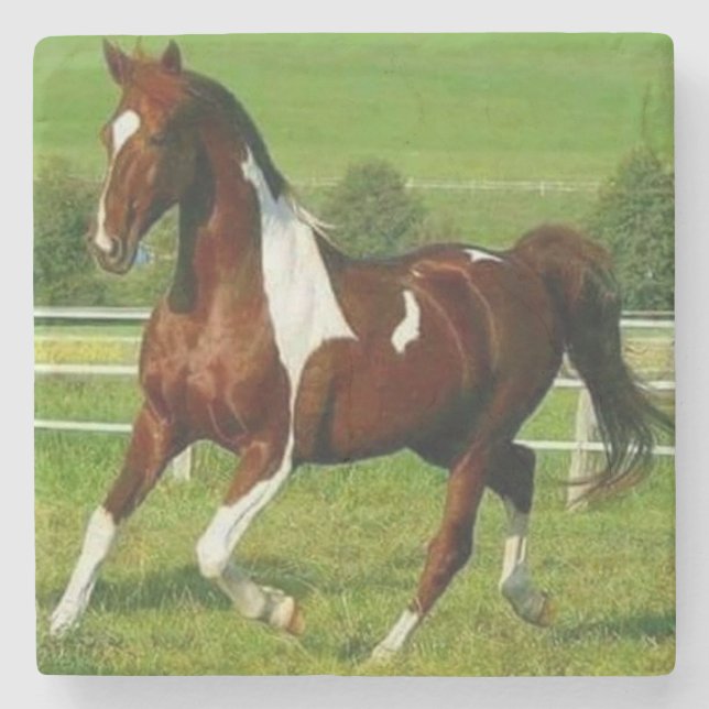 Schönes Pferd Steinuntersetzer (Vorderseite)