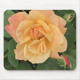 Schönes Pfirsichfarbenes Mauspad Rose