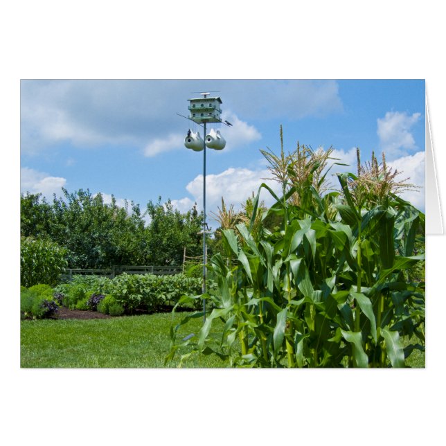 Schönes pflanzliches Foto (Vorderseite (Horizontal))