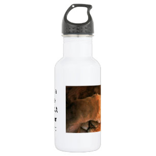 Schönes, phantastisches und anpassbares Design Edelstahlflasche