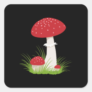 Schönes Pilz Quadratischer Aufkleber