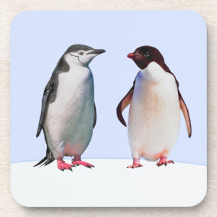 Schönes Pinguinvogelpaar auf Hellblau Getränkeuntersetzer
