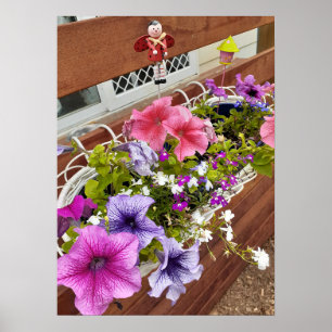 Schönes Pink Petunia Blumengarten Poster