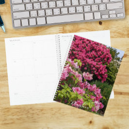 Schönes Pink Rhododendron Bloms Floral Planer