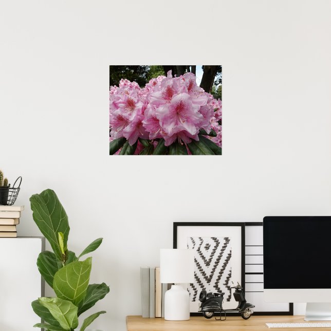 Schönes Pink Rhododendron Bloms Floral Poster (Heimbüro)