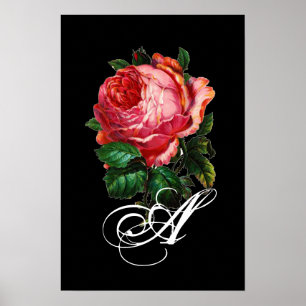 SCHÖNES PINKES ROSENMONOGRAMM POSTER