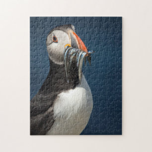 Schönes Portrait von Ozeanpuffvögeln Puzzle
