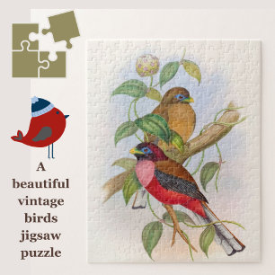 Schönes Puzzle mit Vintagen Vogelbildern