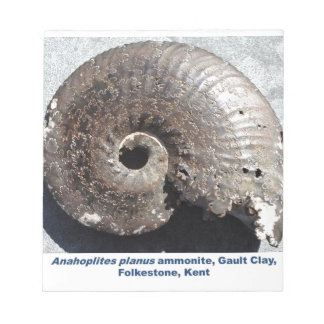 Schönes Pyritenammonialfossilon mit Nässen Notizblock