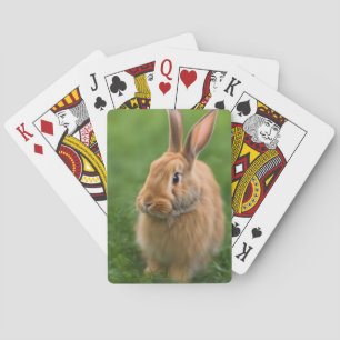 Schönes Rabbit Spielkarten