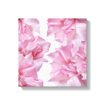 Schönes Rosa Blütenblatt abstrakt