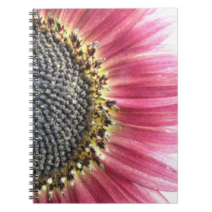 Schönes rosa Sonnenblumen-Notebook Notizblock