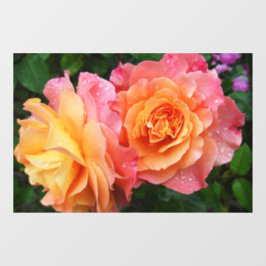 Schönes rosa und orange Rose Foto Fensteraufkleber