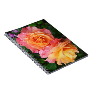 Schönes rosa und orange Rose Foto Notizblock