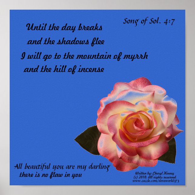 Schönes Rose Poster (Vorne)