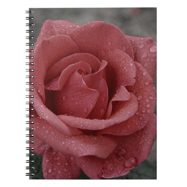 Schönes Rose Print Notebook - Ideal zum Schreiben Notizblock (Vorderseite)