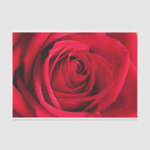 Schönes Rosen-Blumen-Seidenpapier Seidenpapier