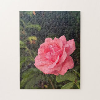 schönes Rosenpuzzle Puzzle