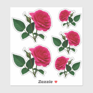 Schönes rote Rose Foto Transparent CC1145 Aufkleber