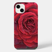 Schönes rote Rose iPhone 14 Plus kaum da