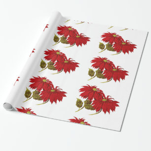 Schönes rotes Poinsettia-Zeichnen Geschenkpapier