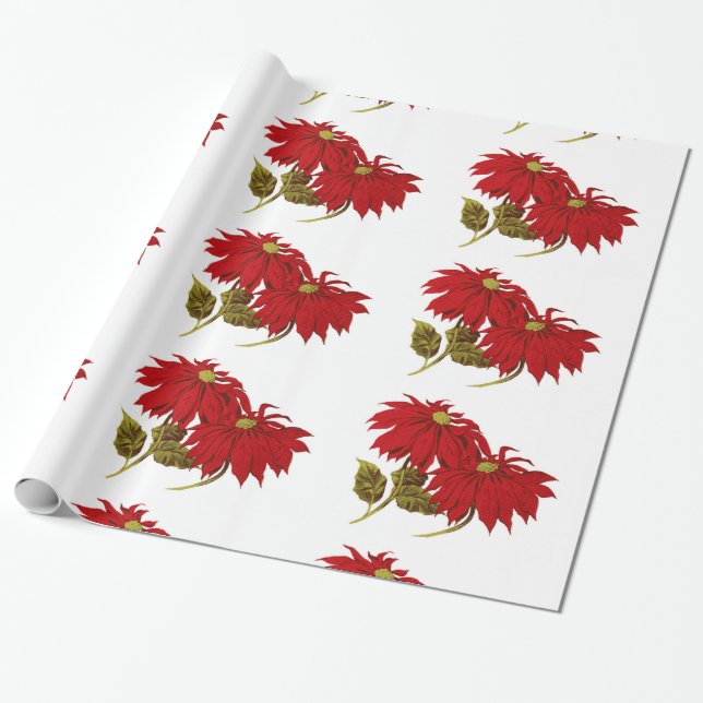 Schönes rotes Poinsettia-Zeichnen Geschenkpapier (Ungerollt)