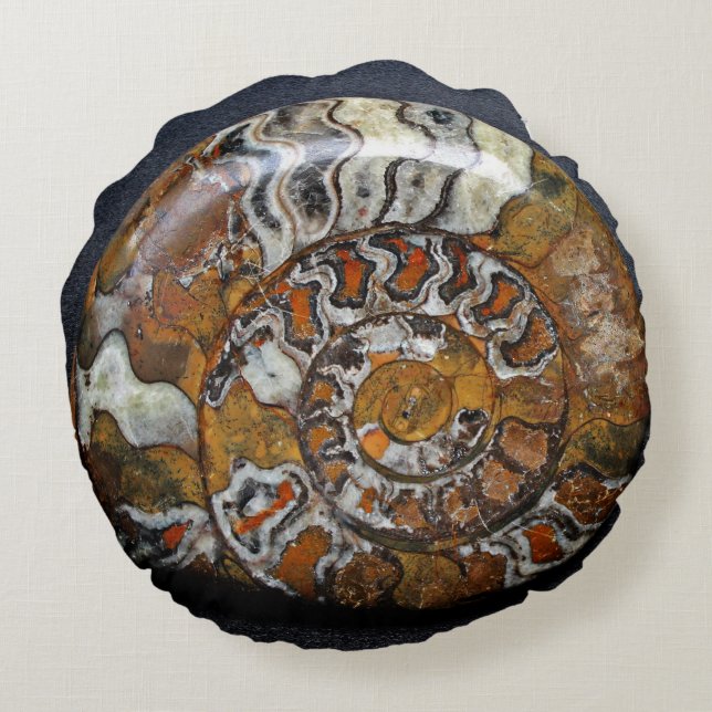 Schönes rundes Schnecke-Muschelthrow-Kissen Kissen (Rückseite)