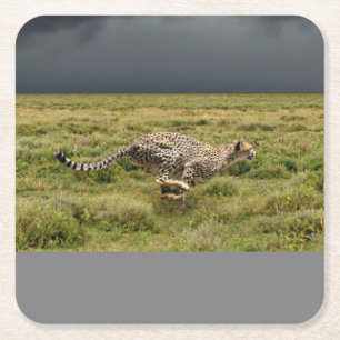 Schönes Running Cheetah Untersetzer Set