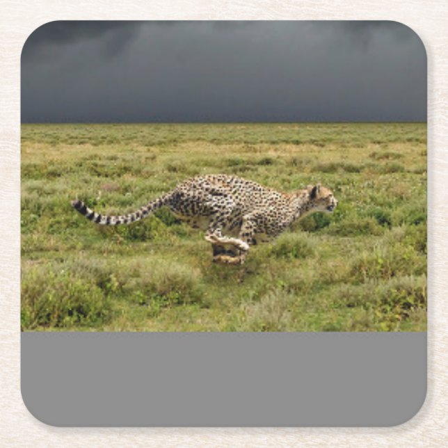 Schönes Running Cheetah Untersetzer Set (Vorderseite)
