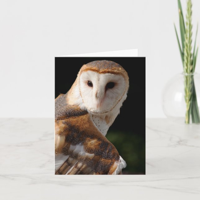 Schönes Schleiereule notecard Karte (Vorderseite)