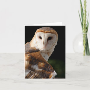 Schönes Schleiereule notecard Karte