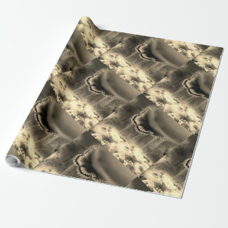 schönes Schmetterlingspapier Geschenkpapier