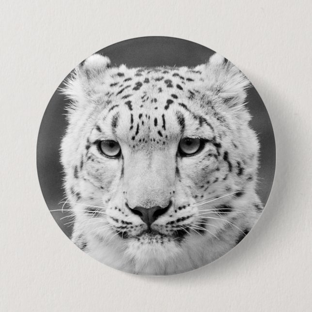 Schönes Schnee-Leopard-Schwarzweiss-Porträt Button (Vorderseite)