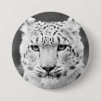 Schönes Schnee-Leopard-Schwarzweiss-Porträt