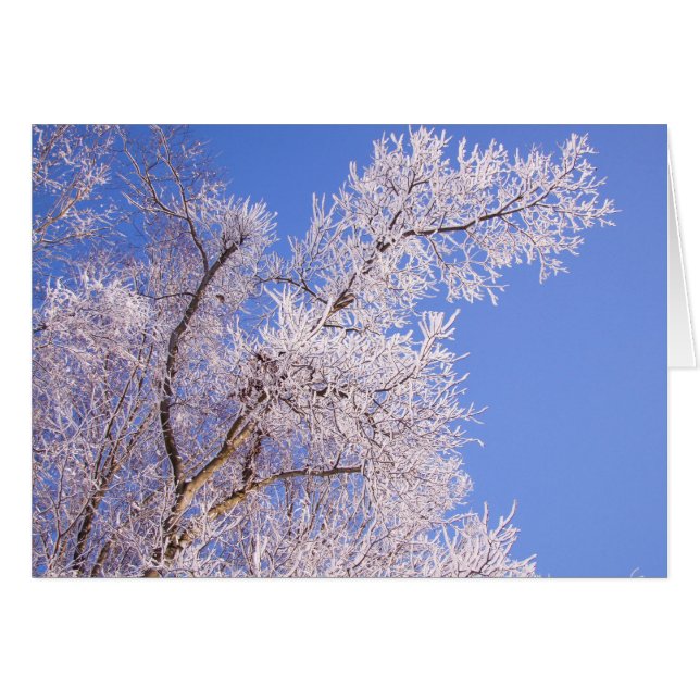 Schönes Schneeszene Foto (Vorderseite (Horizontal))