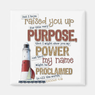 Schönes Schriftsmagnet Exodus-9:16 Magnet